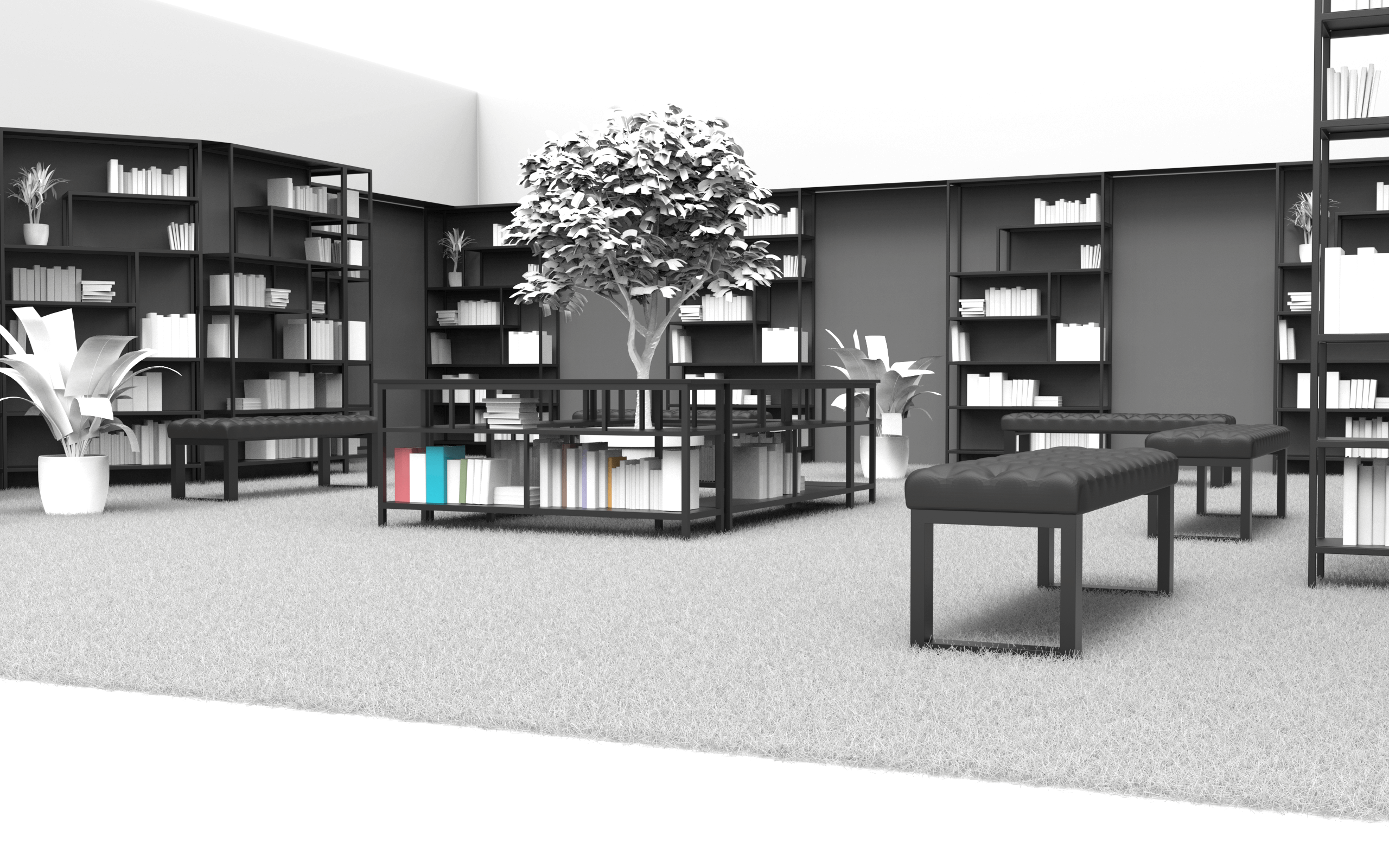 Library 2